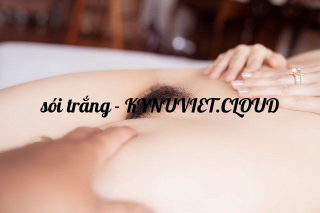 z4180764648446_7a46855ad839c6ee6657c558a71b8d80.jpg